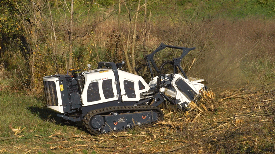 Ferngesteuerte HYMACH HERBHY 60 LE beim Mulchen von Unterholz